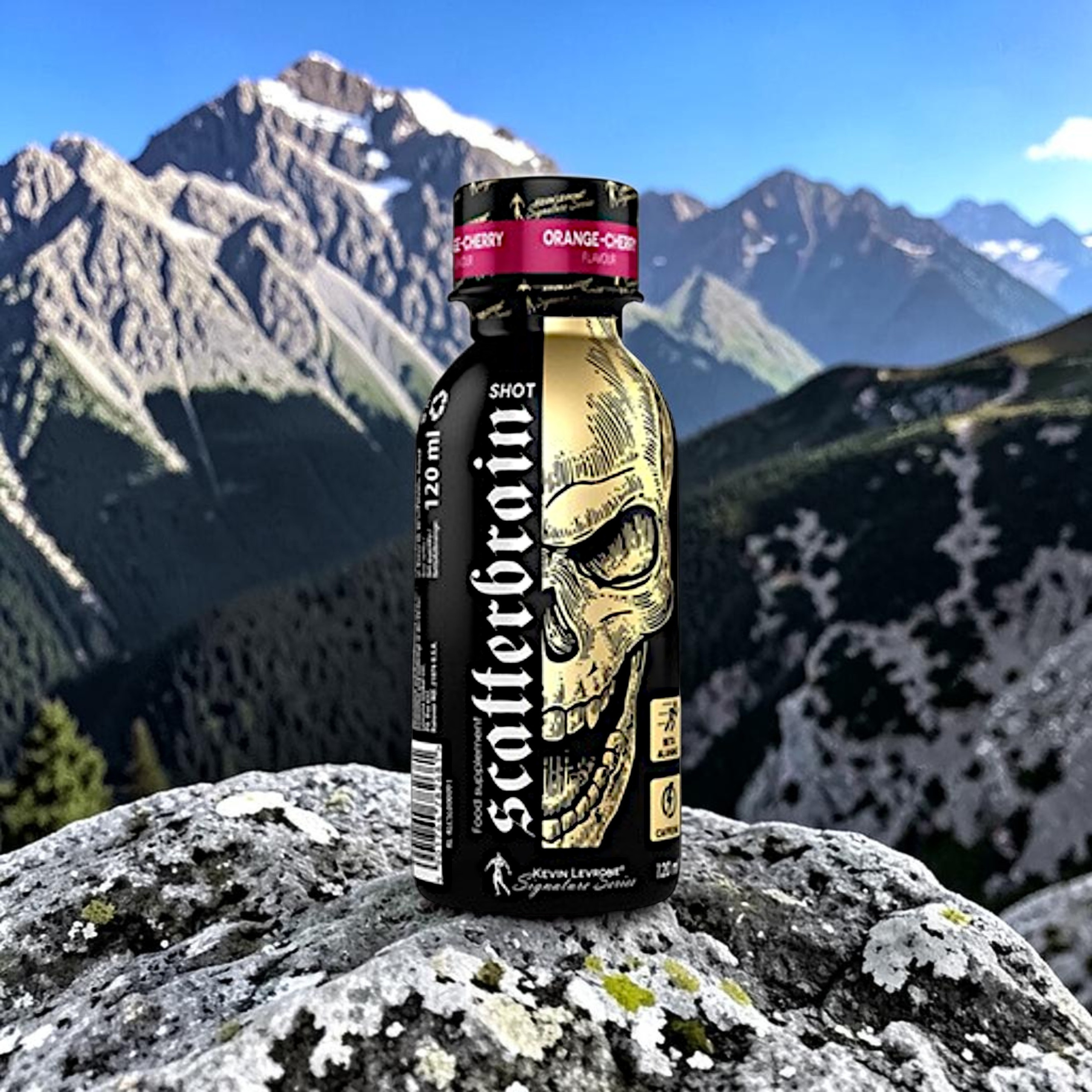 KEVIN LEVRONE Scatterbrain Shot - 12x 2x 120ml