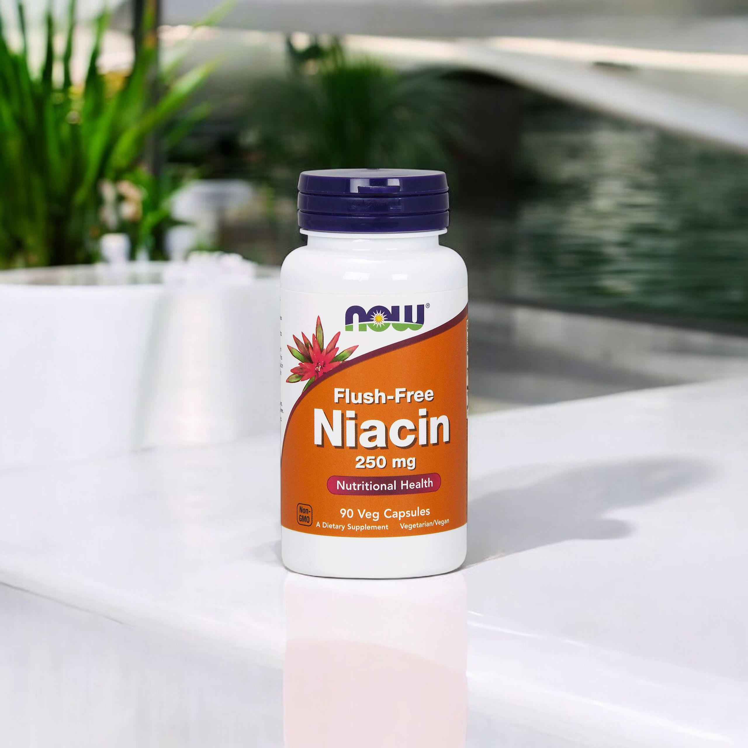NOW Niacin Flush Free 250mg - 3x 90vcaps