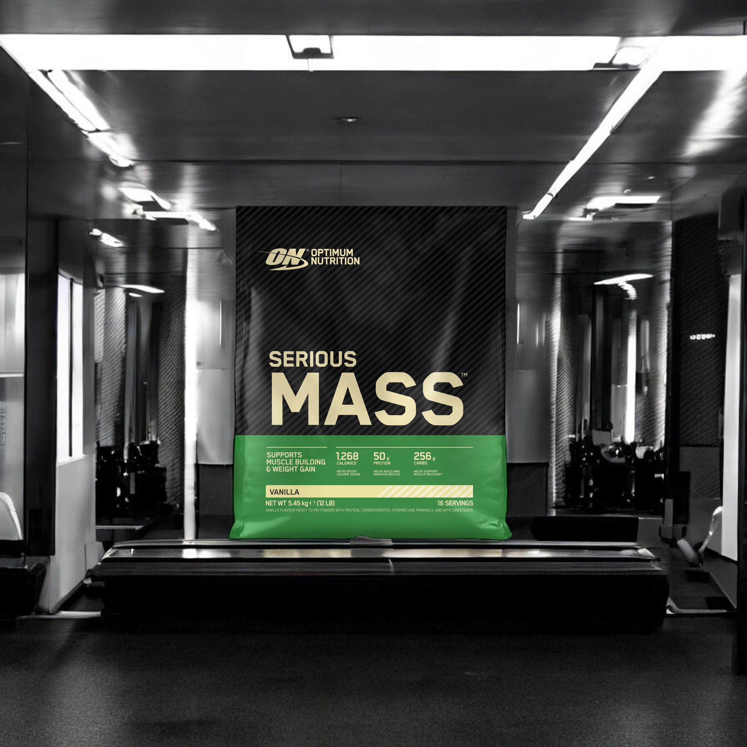 OPTIMUM NUTRITION Serious Mass - 3x 5450g