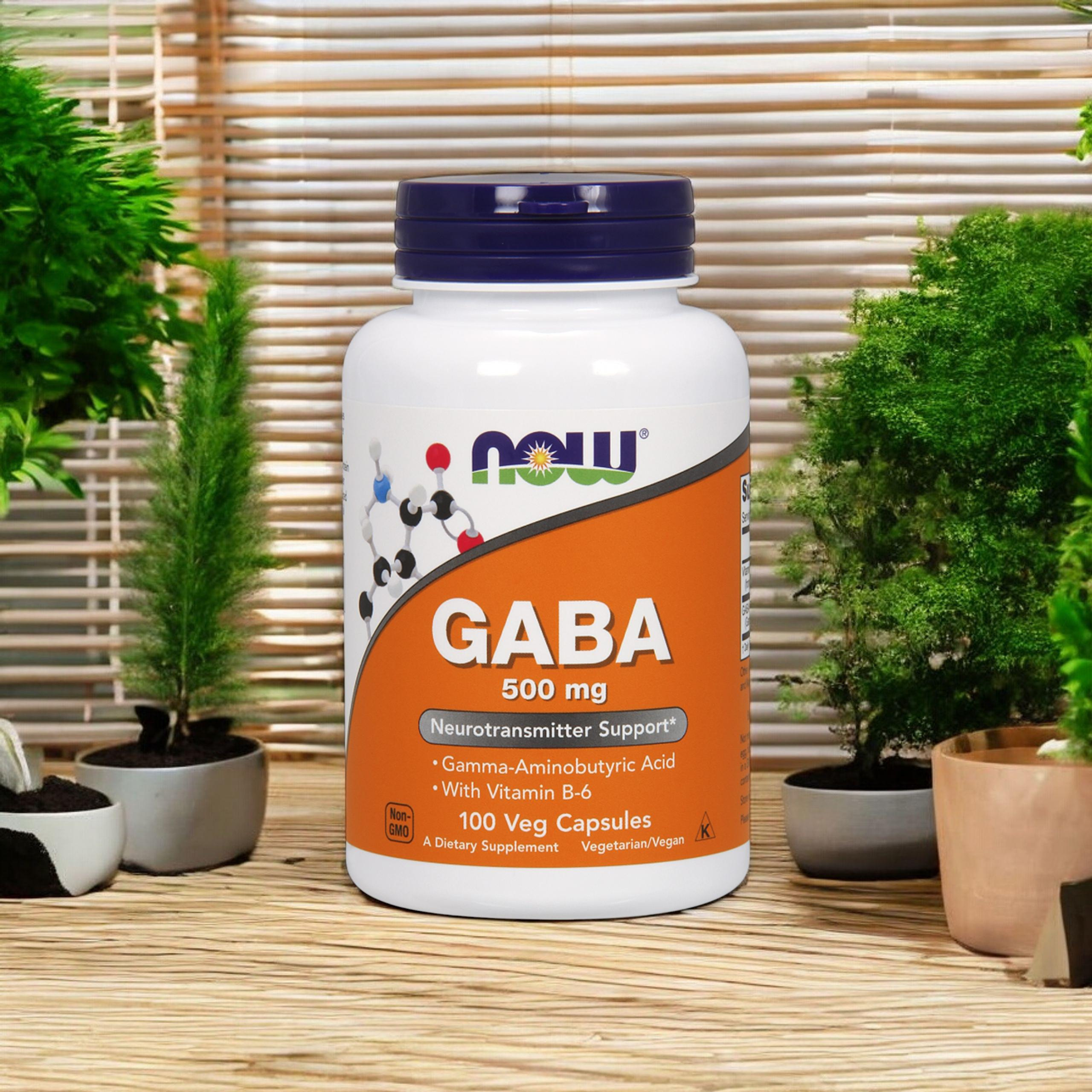 NOW GABA 500mg - 2x 100veg caps