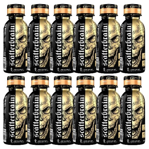 KEVIN LEVRONE Scatterbrain Shot - 12x 120ml