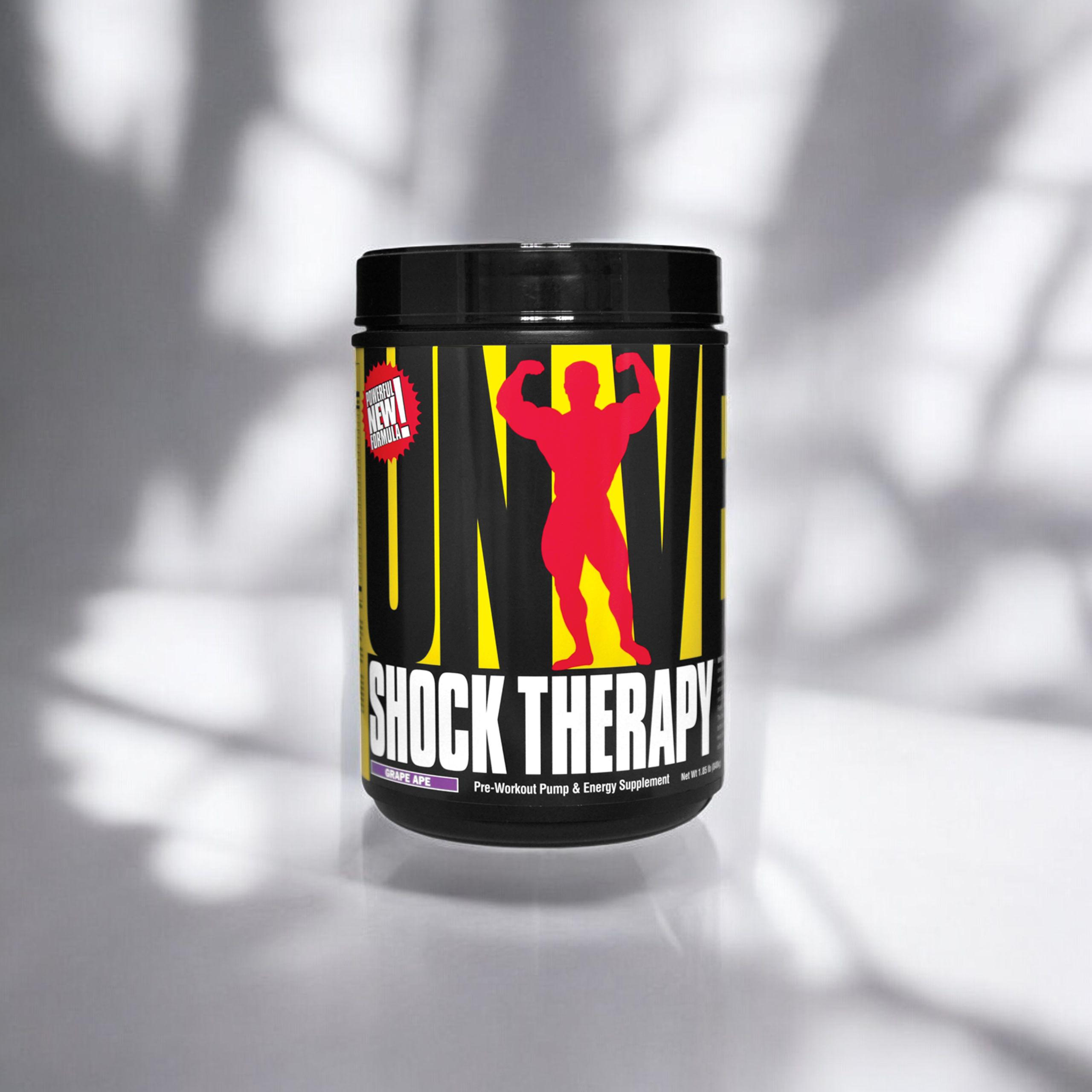 UNIVERSAL Shock Therapy - 2x 840g