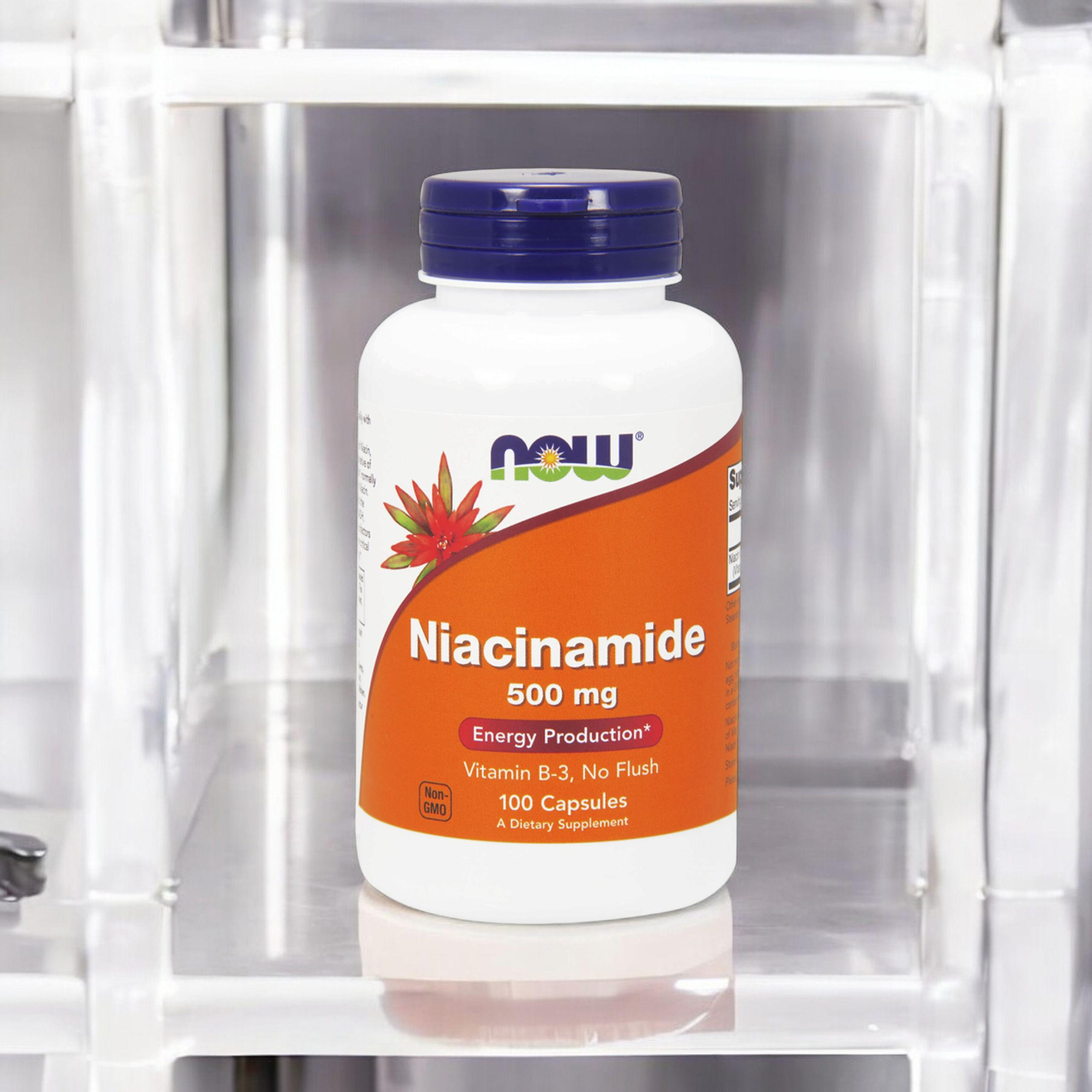 NOW Niacinamide 500mg (Witamina B3 - Niacyna) - 100caps