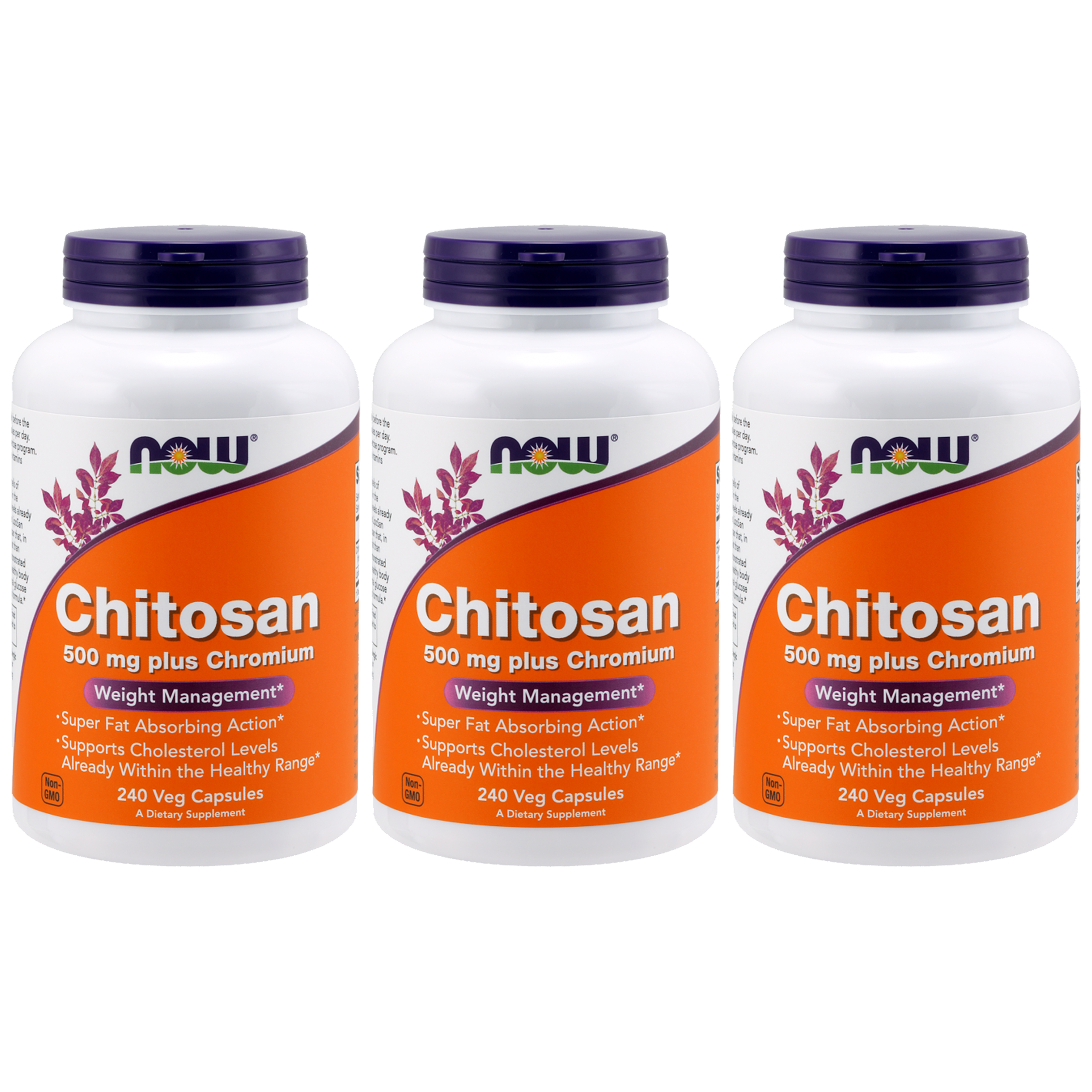NOW Chitosan Plus Chromium - 3x 240vcaps