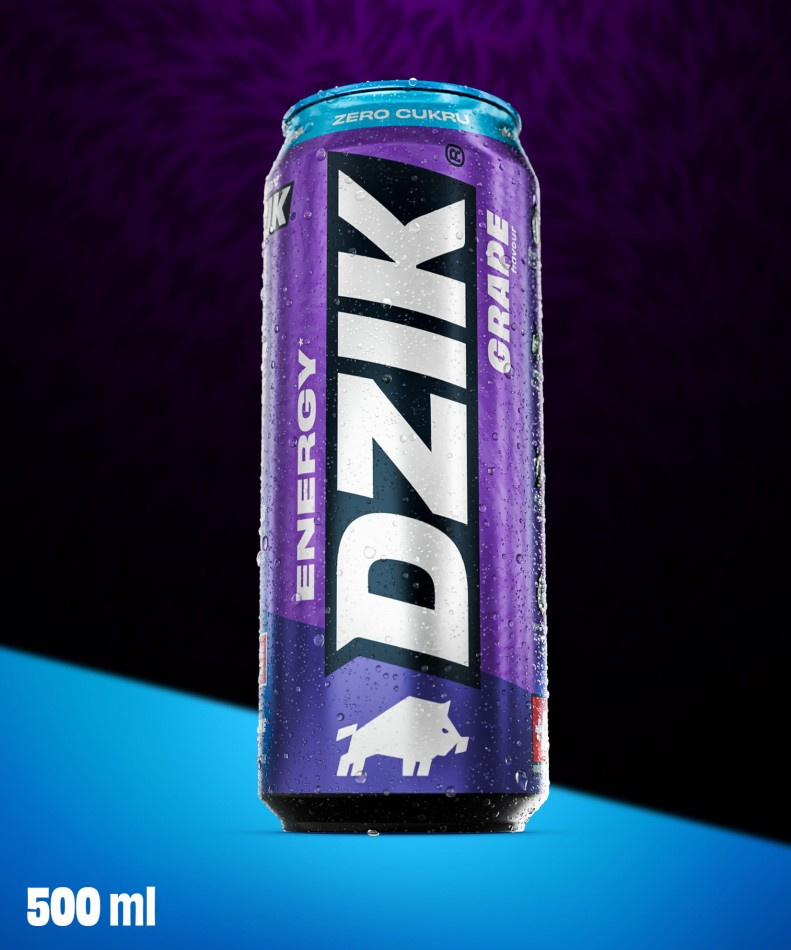 DZIK Energy 24x 500ml