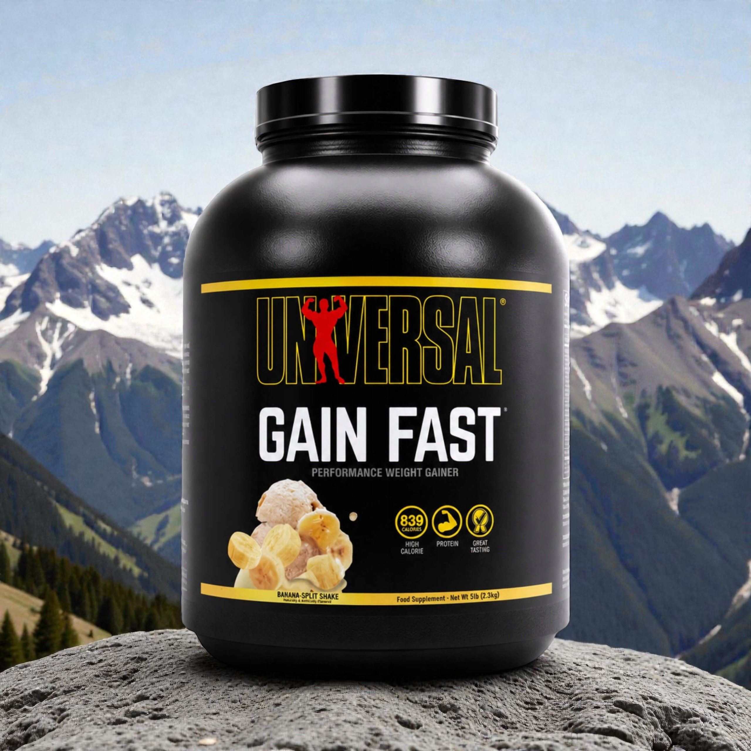 UNIVERSAL - Gain Fast - 2x 2300g 