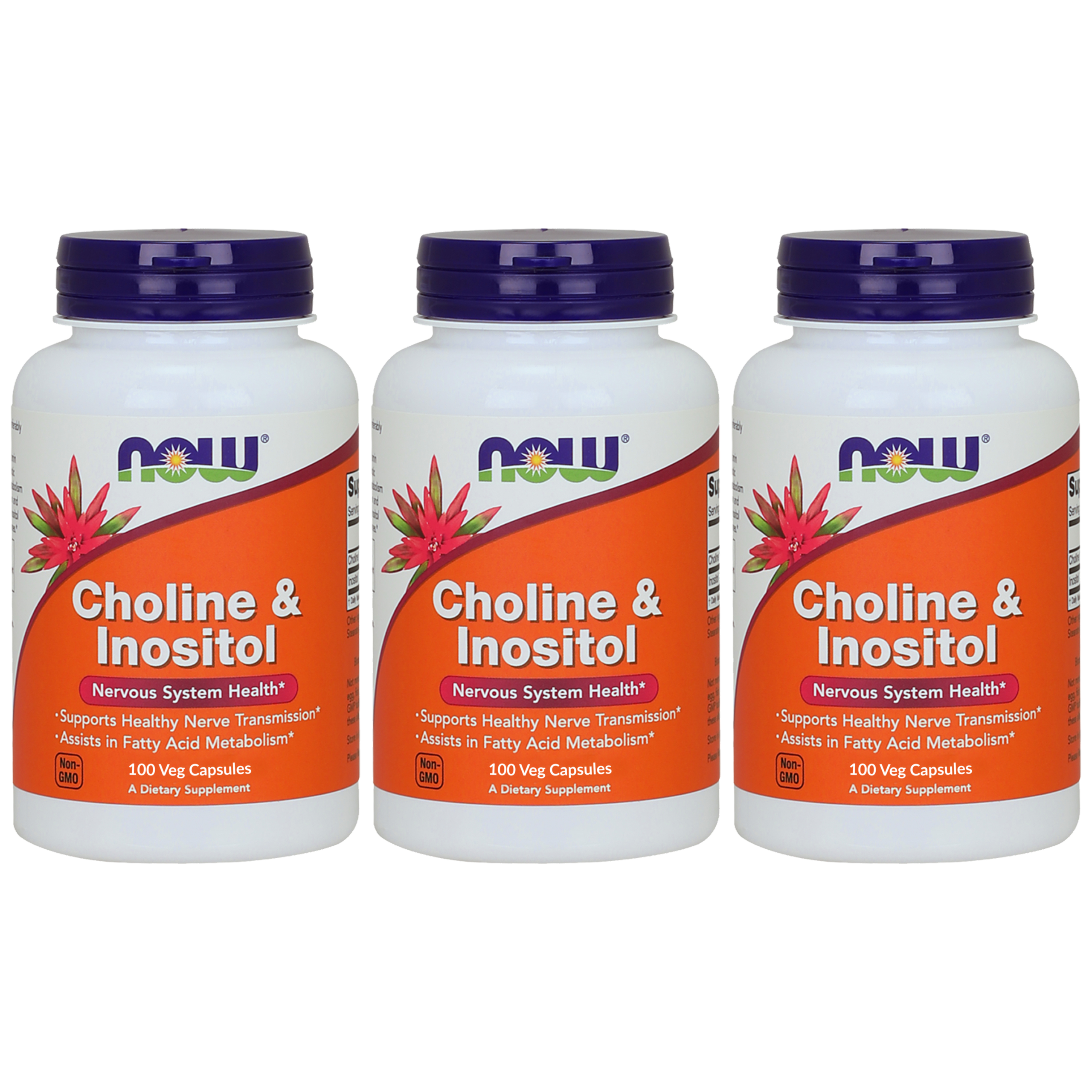NOW Choline and Inositol - 3x 100vcaps