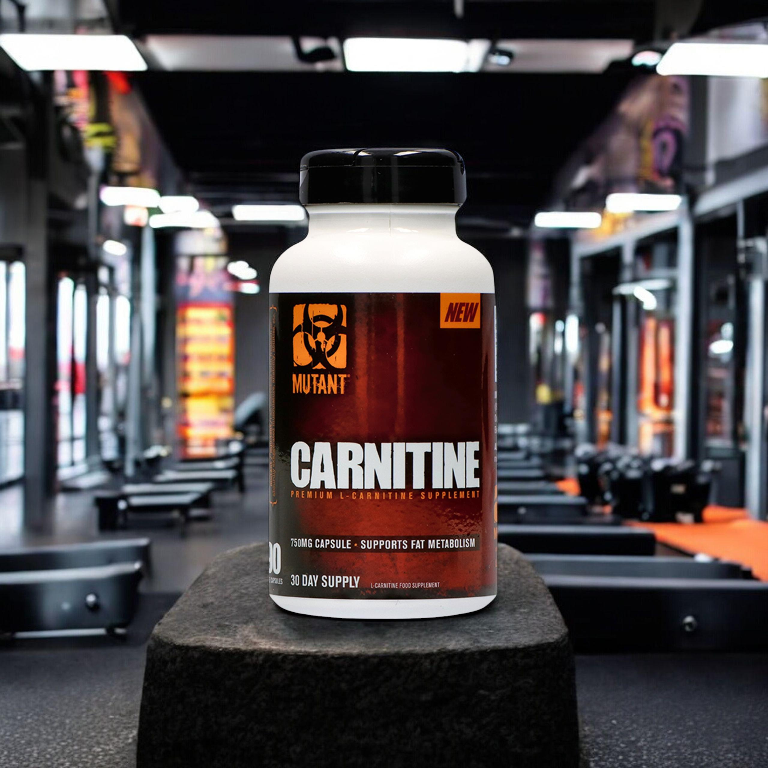PVL L-Carnitine - 2x 90vcaps