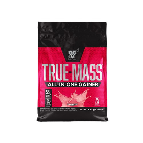 BSN True Mass - 4200g