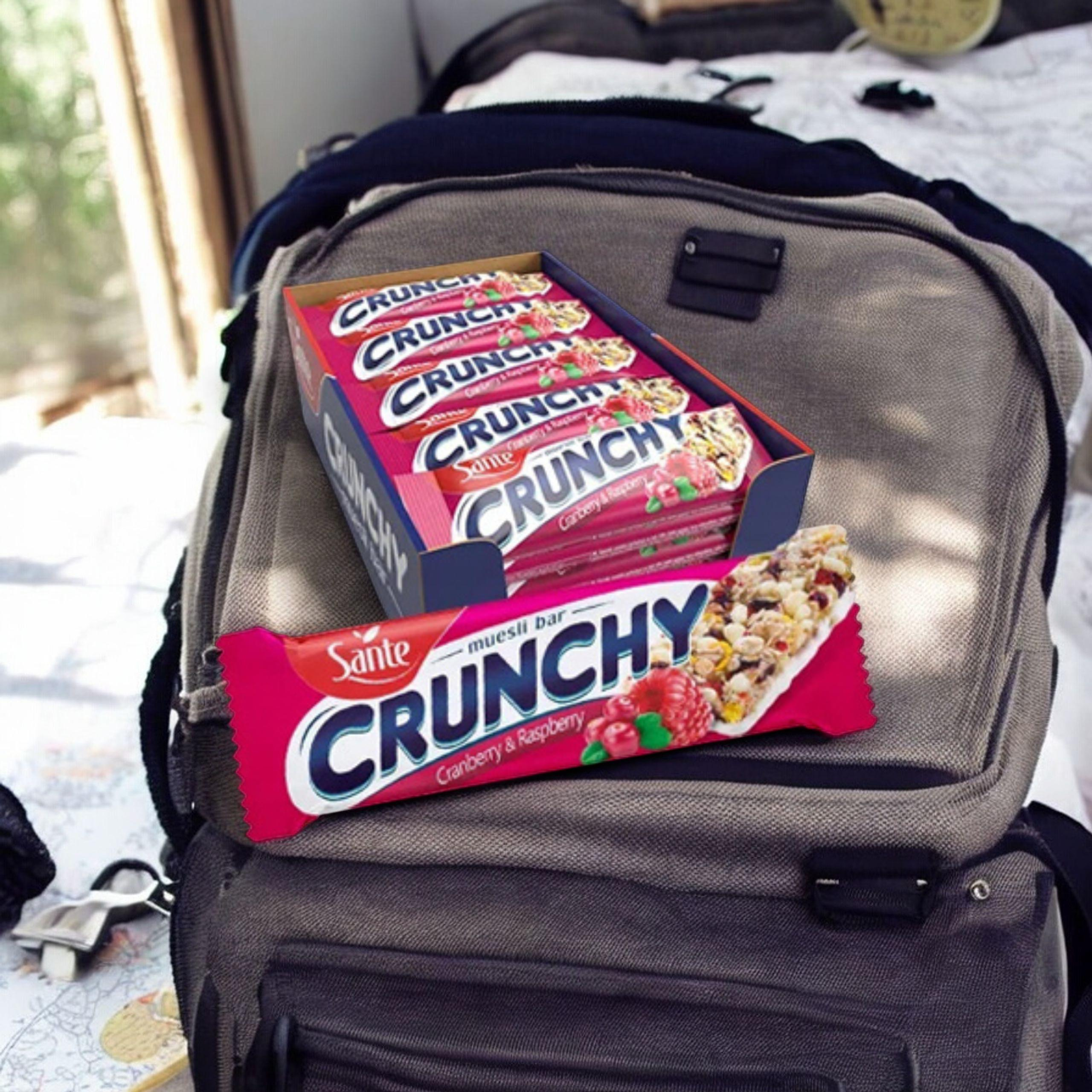 SANTE Baton Crunch - 25x 40g