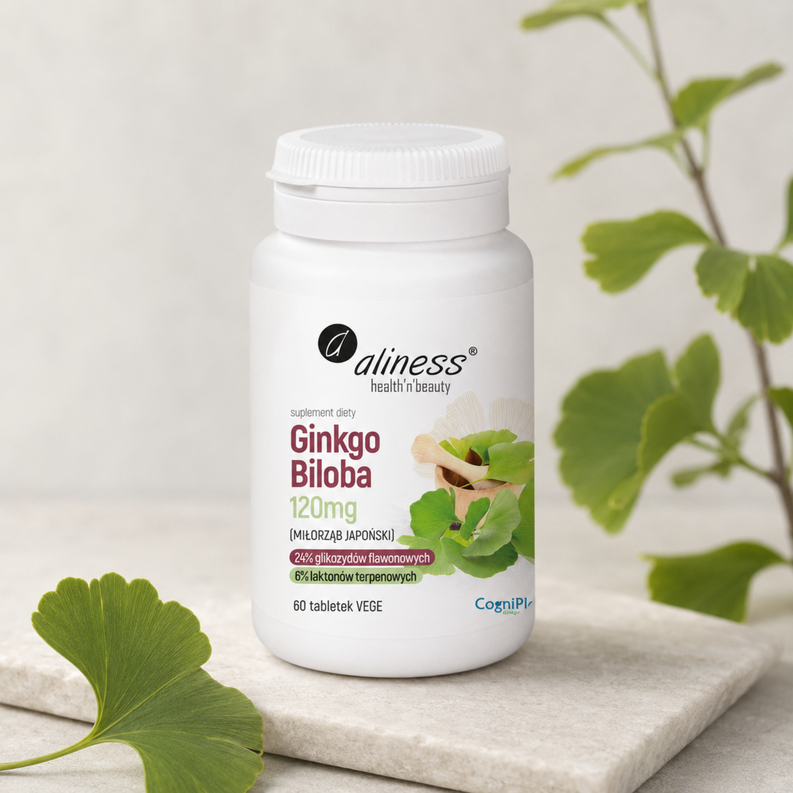 ALINESS - Ginkgo Biloba 120mg - 60vtabs.