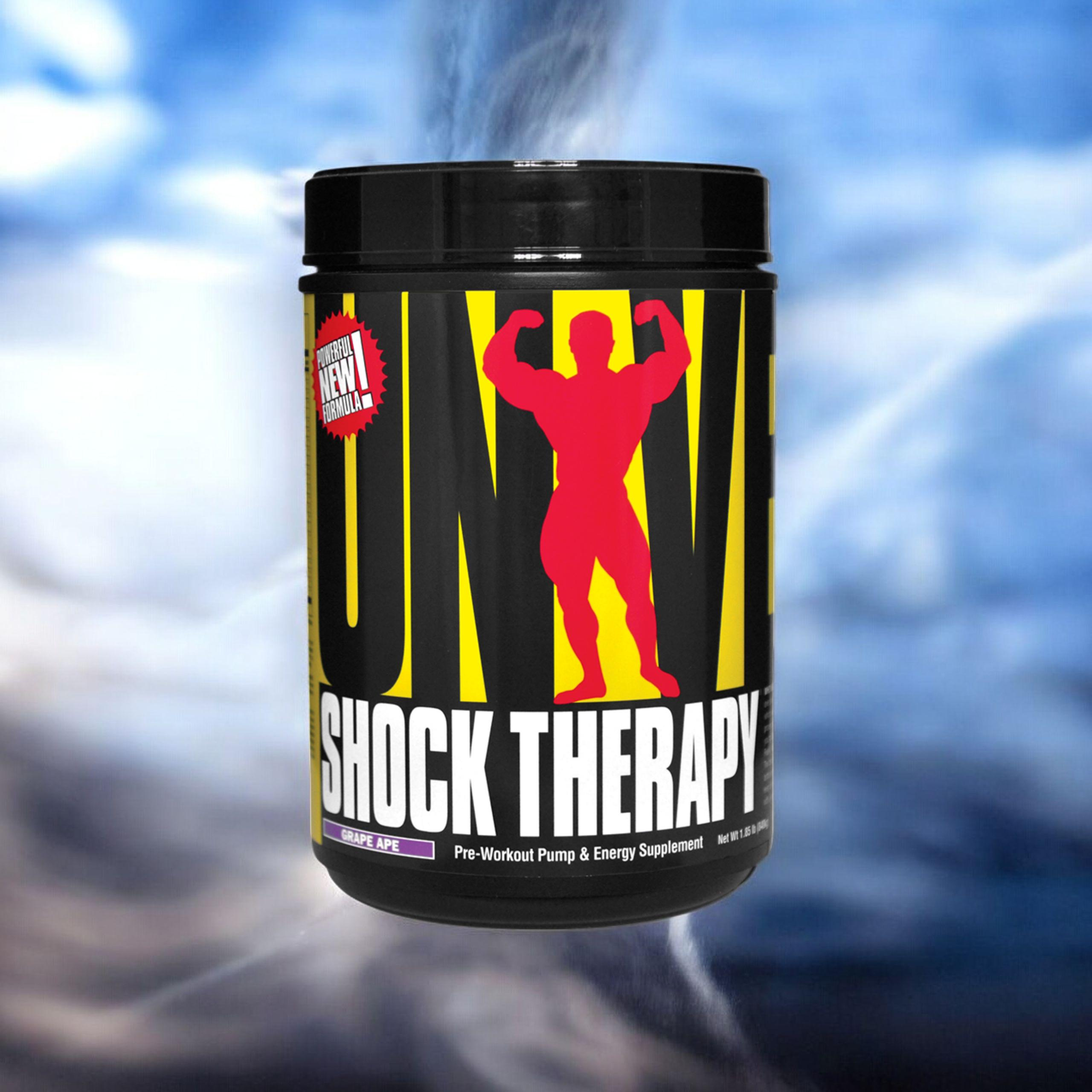 UNIVERSAL Shock Therapy - 2x 840g