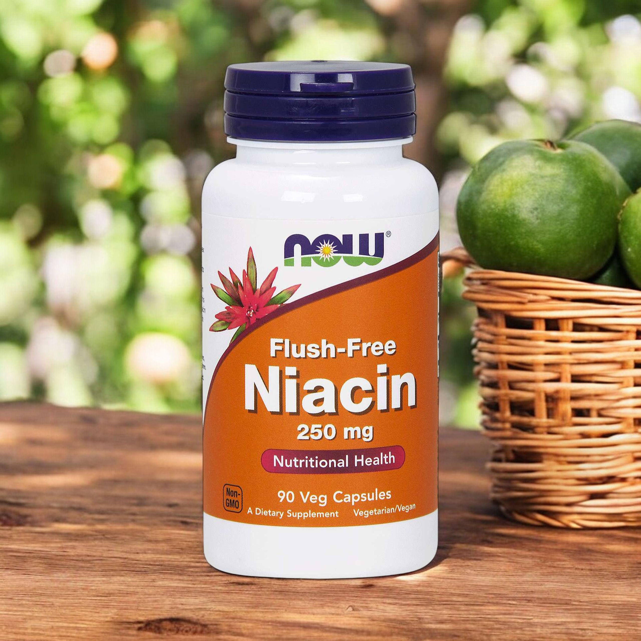 NOW Niacin Flush Free 250mg - 2x 90vcaps