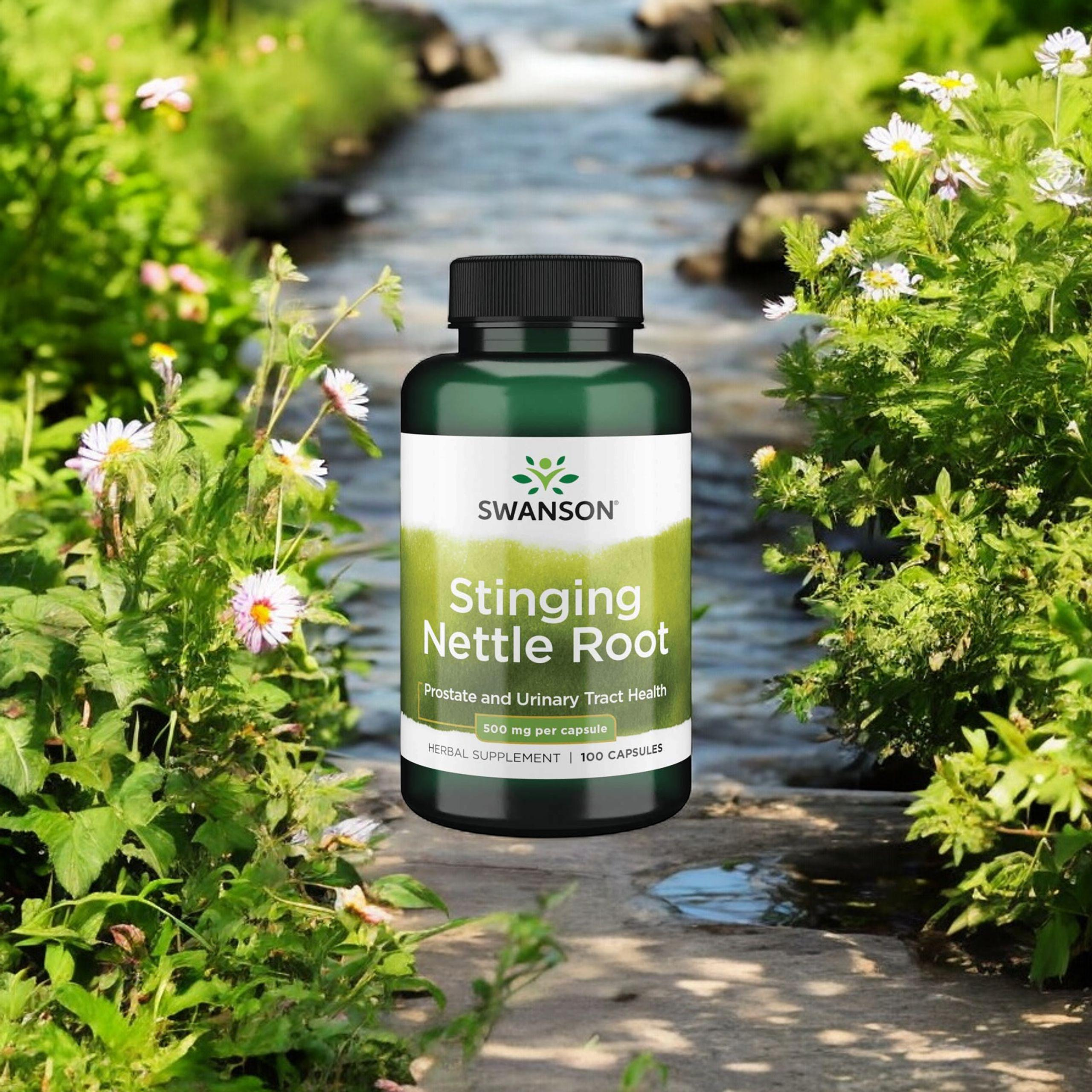 SWANSON Stinging Nettle Root 500mg - 100caps. - 2x Pokrzywa zwyczajna