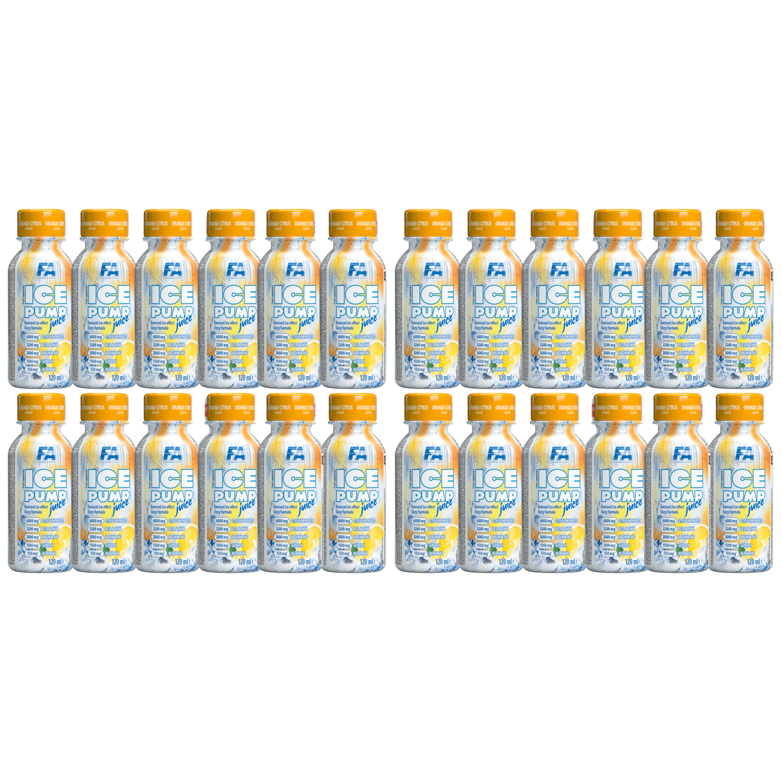 FITNESS AUTHORITY - Ice Pump Juice - 12x 2x 120ml