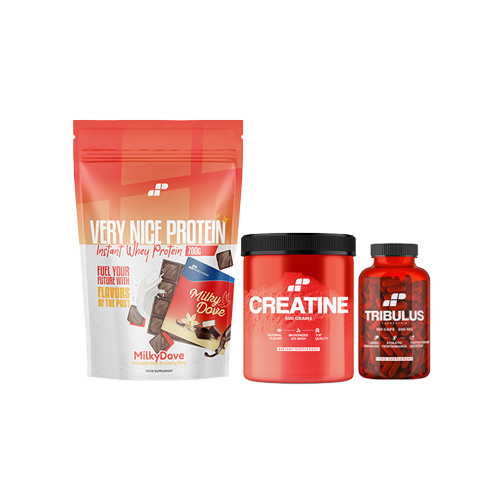 Masa Start – Buduj Fundamenty