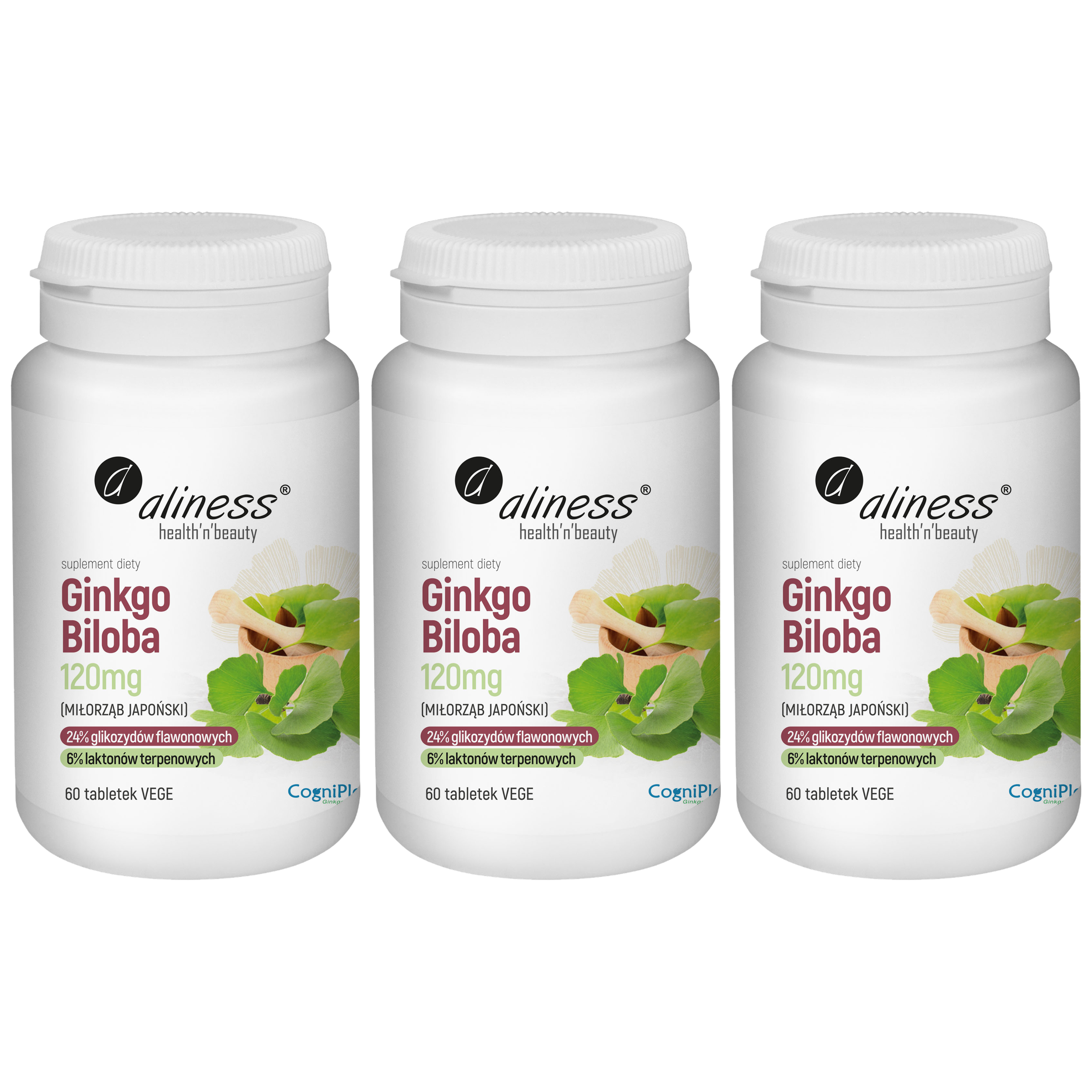 ALINESS - Ginkgo Biloba 120mg - 60vtabs. x3